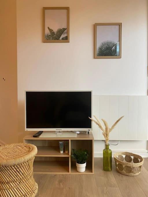 Romans-sur-Isère The Jungle Studio, Loggia & Parking Dans Residence מראה חיצוני תמונה