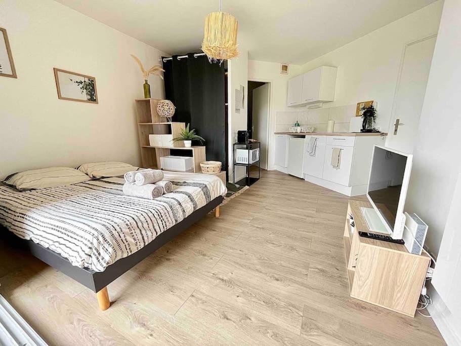 Romans-sur-Isère The Jungle Studio, Loggia & Parking Dans Residence מראה חיצוני תמונה