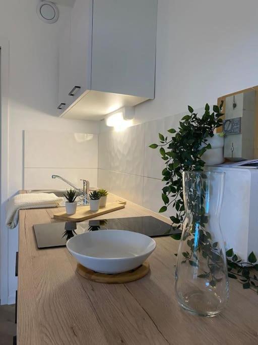 Romans-sur-Isère The Jungle Studio, Loggia & Parking Dans Residence מראה חיצוני תמונה